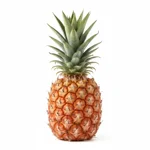 Ananas victoria