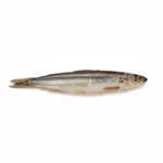 Anchois séché