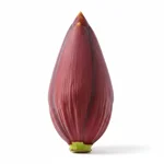 Babafigue