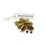 Baie de cardamome