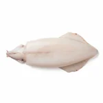 Blanc d'encornet