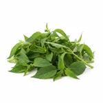 Brède morelle