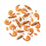 Carcasse de gambas