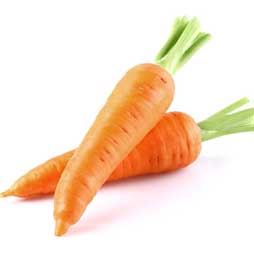 Carotte