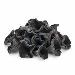 Champignon « trompettes de la mort »