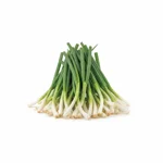 Ciboule verte