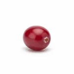 Cranberry