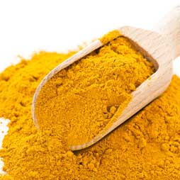 Curcuma en poudre
