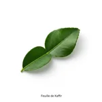 Feuille de Kaffir
