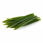 Feuille de pandan