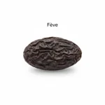 Fève sèche
