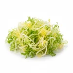 Frisée fine