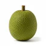 Fruit à pain vert