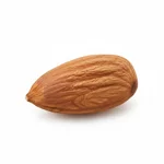 Fruit oléagineux