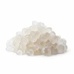 Grain de kéfir de fruits
