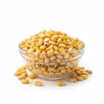 Grain de maïs jeune
