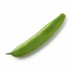 Haricot vert plat