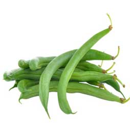Haricot vert surgelé