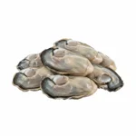 Huître sans coquille