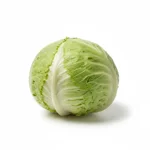 Laitue iceberg