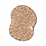 Lamelle de truffe noire