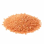 Lentille corail séchée