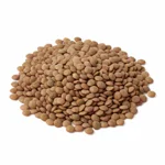 Lentille sèche