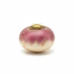 Navet nouveau