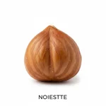 Noisette concassée