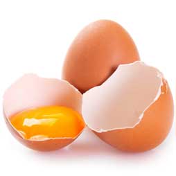 Oeuf entier