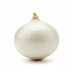 Oignon blanc nouveau