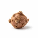 Orge