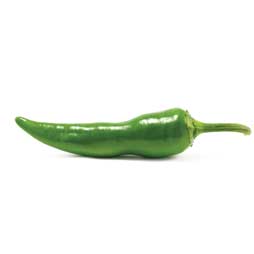 Piment vert doux