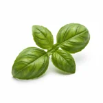 Pistou de basilic