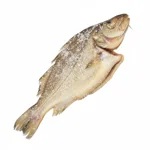 Poisson salé