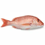 Poisson vivaneau