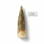 Pousse de bambou en conserve