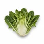 Puntarelle