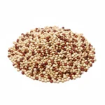 Quinoa