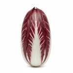 Radicchio di Trévise