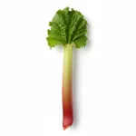 Rhubarbe