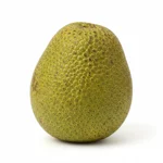 Ti-jacques