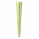 Tige de citronnelle fraîche