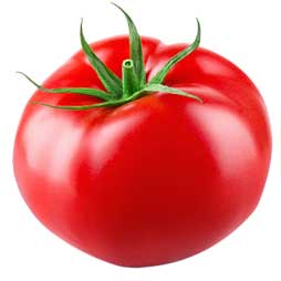 Tomate ronde