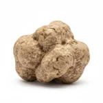 Truffe blanche d'alba