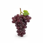 Vin rouge sec