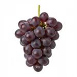 Vin